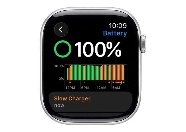 نمایی از تنظیمات هشدار شارژر کند در Apple Watch